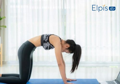 Các bài tập yoga chữa đau lưng tại nhà