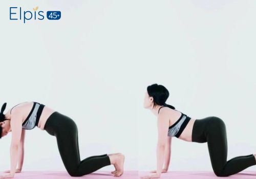 Yoga chữa võng lưng 